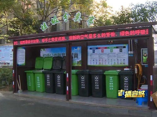 聚焦垃圾分類 市區36個小區納入生活垃圾經營服務試點